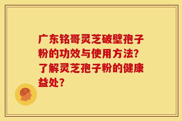 广东铭哥灵芝破壁孢子粉的功效与使用方法？了解灵芝孢子粉的健康益处？