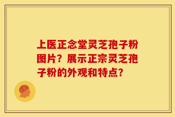 上医正念堂灵芝孢子粉图片？展示正宗灵芝孢子粉的外观和特点？