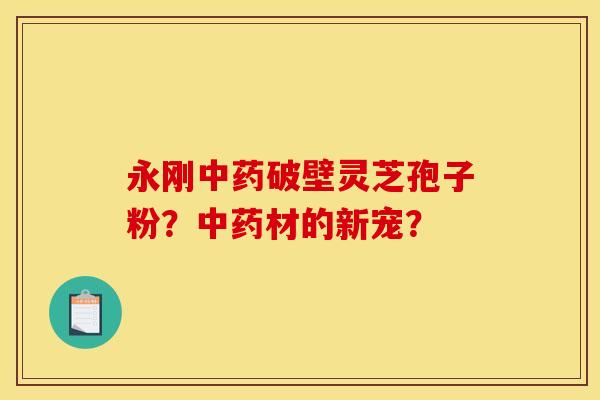 永刚破壁灵芝孢子粉?材的新宠? 永刚破壁灵芝孢子粉?材的新宠?