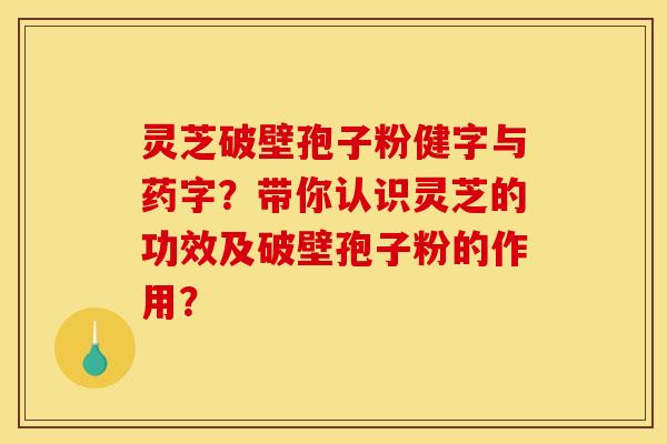 灵芝破壁孢子粉健字与药字?带你认识灵芝的功效及破壁孢子粉的作用? 灵芝破壁孢子粉健字与药字?带你认识灵芝的功效及破壁孢子粉的作用?
