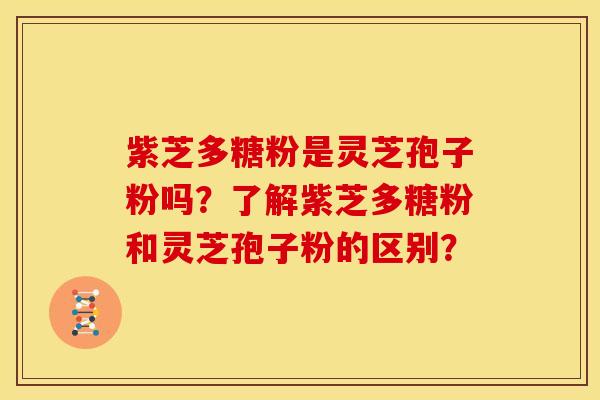 紫芝多糖粉是灵芝孢子粉吗？了解紫芝多糖粉和灵芝孢子粉的区别？