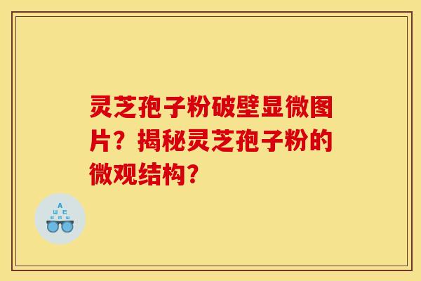 灵芝孢子粉破壁显微图片？揭秘灵芝孢子粉的微观结构？