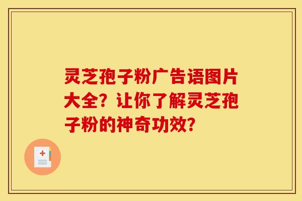 灵芝孢子粉广告语图片大全？让你了解灵芝孢子粉的神奇功效？