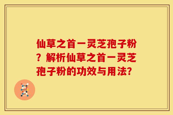 仙草之首一灵芝孢子粉？解析仙草之首一灵芝孢子粉的功效与用法？