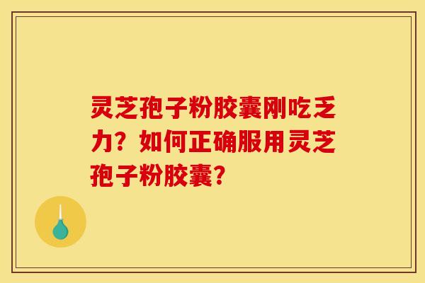 灵芝孢子粉胶囊刚吃乏力？如何正确服用灵芝孢子粉胶囊？