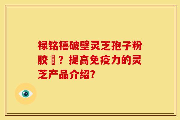 禄铭禧破壁灵芝孢子粉胶蘘？提高免疫力的灵芝产品介绍？