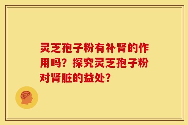 灵芝孢子粉有补肾的作用吗？探究灵芝孢子粉对肾脏的益处？