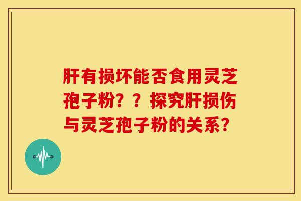 肝有损坏能否食用灵芝孢子粉？？探究肝损伤与灵芝孢子粉的关系？