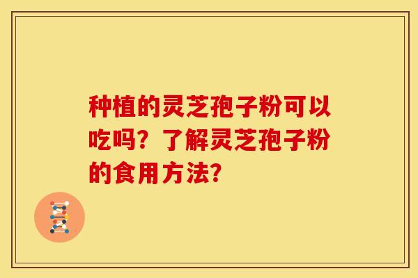 种植的灵芝孢子粉可以吃吗？了解灵芝孢子粉的食用方法？