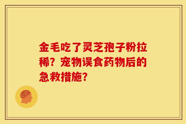 金毛吃了灵芝孢子粉拉稀?宠物误食后的急救措施? 金毛吃了灵芝孢子粉拉稀?宠物误食后的急救措施?
