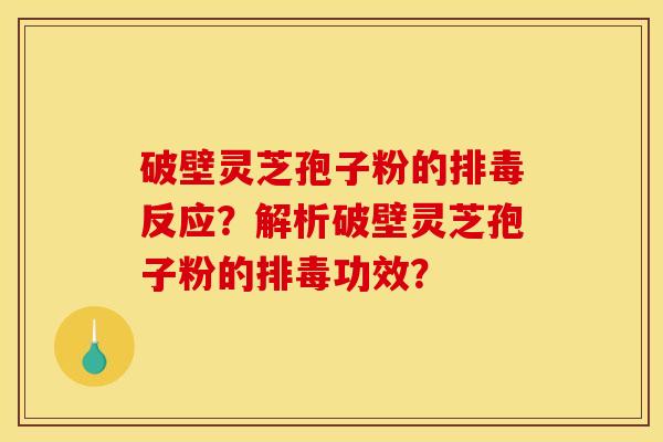 破壁灵芝孢子粉的反应?解析破壁灵芝孢子粉的功效? 破壁灵芝孢子粉的反应?解析破壁灵芝孢子粉的功效?