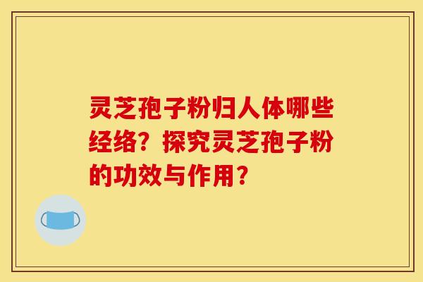 灵芝孢子粉归人体哪些经络?探究灵芝孢子粉的功效与作用? 灵芝孢子粉归人体哪些经络?探究灵芝孢子粉的功效与作用?