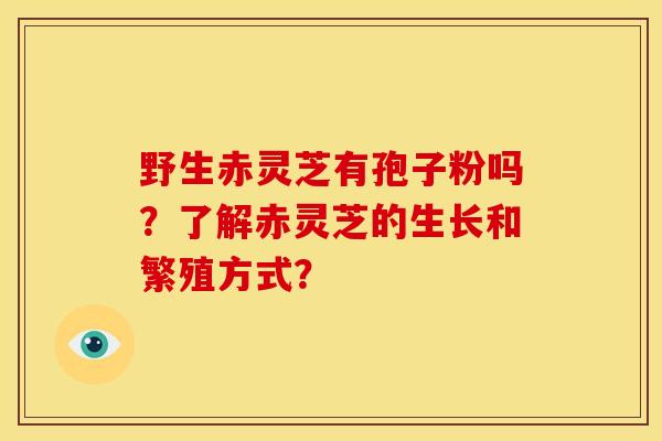 野生赤灵芝有孢子粉吗?了解赤灵芝的生长和繁殖方式? 野生赤灵芝有孢子粉吗?了解赤灵芝的生长和繁殖方式?