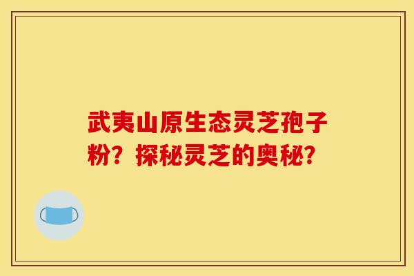 武夷山原生态灵芝孢子粉？探秘灵芝的奥秘？