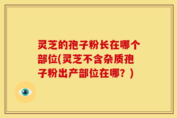 灵芝的孢子粉长在哪个部位(灵芝不含杂质孢子粉出产部位在哪？)