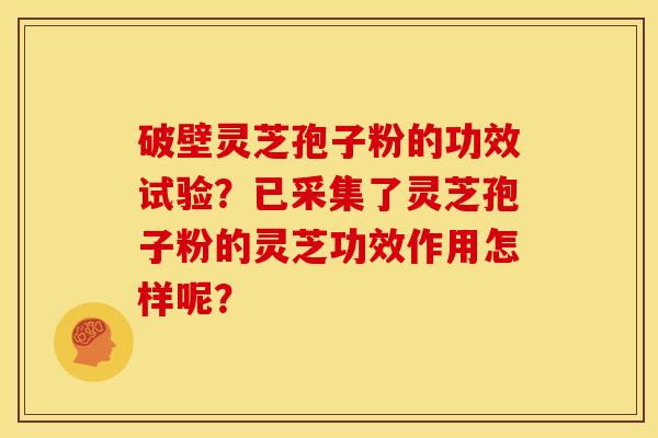 破壁灵芝孢子粉的功效试验?已采集了灵芝孢子粉的灵芝功效作用怎样呢? 破壁灵芝孢子粉的功效试验?已采集了灵芝孢子粉的灵芝功效作用怎样呢?