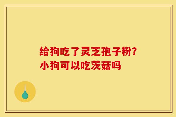 给狗吃了灵芝孢子粉?小狗可以吃茨菇吗 给狗吃了灵芝孢子粉?小狗可以吃茨菇吗