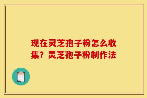 现在灵芝孢子粉怎么收集?灵芝孢子粉制作法 现在灵芝孢子粉怎么收集?灵芝孢子粉制作法