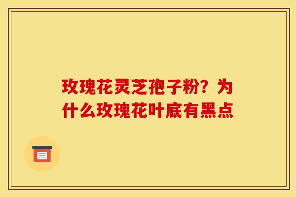 玫瑰花灵芝孢子粉?为什么玫瑰花叶底有黑点 玫瑰花灵芝孢子粉?为什么玫瑰花叶底有黑点
