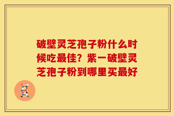 破壁灵芝孢子粉什么时候吃佳?紫一破壁灵芝孢子粉到哪里买好 破壁灵芝孢子粉什么时候吃佳?紫一破壁灵芝孢子粉到哪里买好