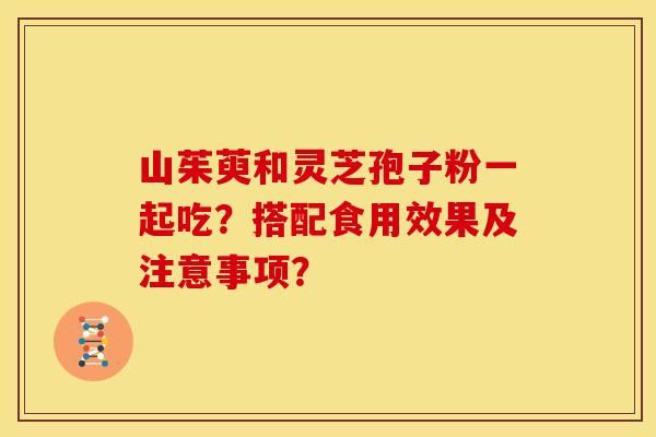山茱萸和灵芝孢子粉一起吃?搭配食用效果及注意事项? 山茱萸和灵芝孢子粉一起吃?搭配食用效果及注意事项?