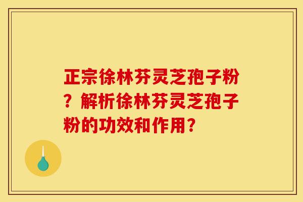 正宗徐林芬灵芝孢子粉？解析徐林芬灵芝孢子粉的功效和作用？