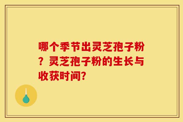 哪个季节出灵芝孢子粉?灵芝孢子粉的生长与收获时间? 哪个季节出灵芝孢子粉?灵芝孢子粉的生长与收获时间?