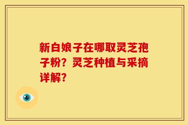 新白娘子在哪取灵芝孢子粉?灵芝种植与采摘详解? 新白娘子在哪取灵芝孢子粉?灵芝种植与采摘详解?