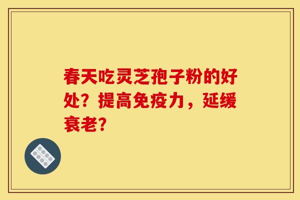 春天吃灵芝孢子粉的好处？提高免疫力，延缓？