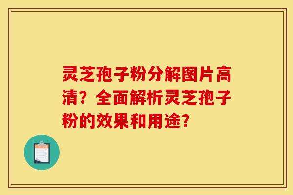 灵芝孢子粉分解图片高清?全面解析灵芝孢子粉的效果和用途? 灵芝孢子粉分解图片高清?全面解析灵芝孢子粉的效果和用途?