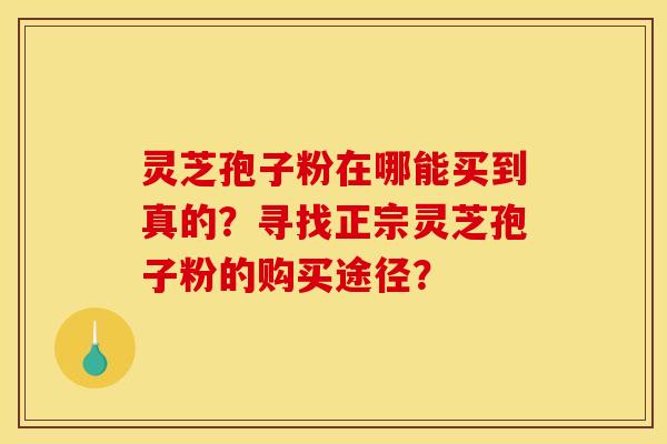 灵芝孢子粉在哪能买到真的?寻找正宗灵芝孢子粉的购买途径? 灵芝孢子粉在哪能买到真的?寻找正宗灵芝孢子粉的购买途径?