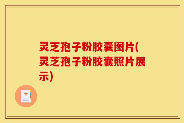 灵芝孢子粉胶囊图片(灵芝孢子粉胶囊照片展示) 灵芝孢子粉胶囊图片(灵芝孢子粉胶囊照片展示)