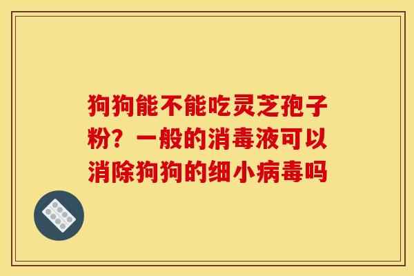 狗狗能不能吃灵芝孢子粉?一般的消毒液可以消除狗狗的细小吗 狗狗能不能吃灵芝孢子粉?一般的消毒液可以消除狗狗的细小吗