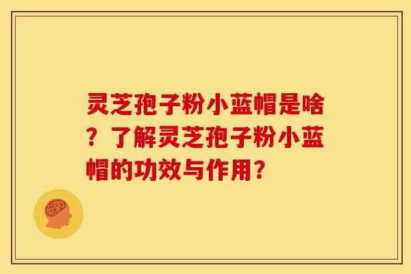 灵芝孢子粉小蓝帽是啥?了解灵芝孢子粉小蓝帽的功效与作用? 灵芝孢子粉小蓝帽是啥?了解灵芝孢子粉小蓝帽的功效与作用?