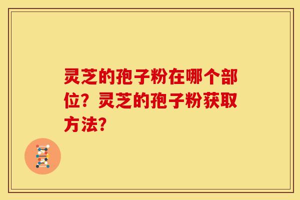 灵芝的孢子粉在哪个部位?灵芝的孢子粉获取方法? 灵芝的孢子粉在哪个部位?灵芝的孢子粉获取方法?