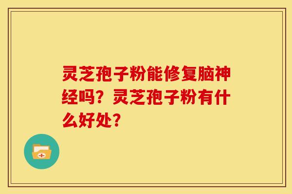 灵芝孢子粉能修复脑吗?灵芝孢子粉有什么好处? 灵芝孢子粉能修复脑吗?灵芝孢子粉有什么好处?