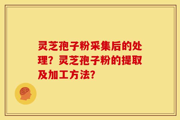 灵芝孢子粉采集后的处理?灵芝孢子粉的提取及加工方法? 灵芝孢子粉采集后的处理?灵芝孢子粉的提取及加工方法?