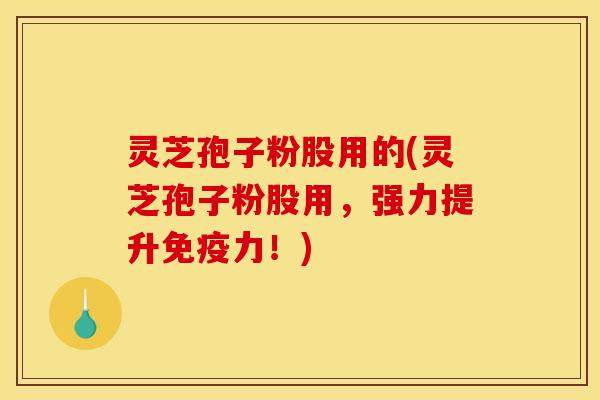 灵芝孢子粉股用的(灵芝孢子粉股用,强力提升免疫力!) 灵芝孢子粉股用的(灵芝孢子粉股用,强力提升免疫力!)