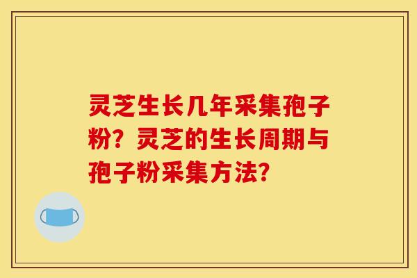 灵芝生长几年采集孢子粉?灵芝的生长周期与孢子粉采集方法? 灵芝生长几年采集孢子粉?灵芝的生长周期与孢子粉采集方法?