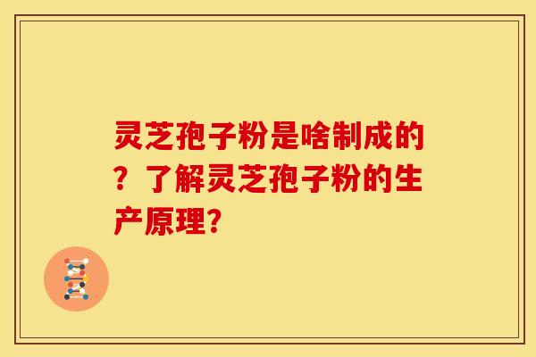 灵芝孢子粉是啥制成的？了解灵芝孢子粉的生产原理？