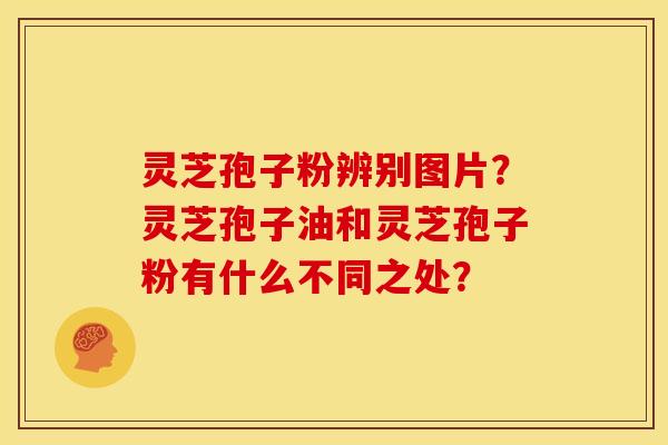 灵芝孢子粉辨别图片？灵芝孢子油和灵芝孢子粉有什么不同之处？