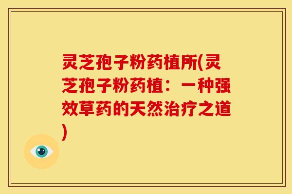 灵芝孢子粉药植所(灵芝孢子粉药植:一种强效草药的天然之道) 灵芝孢子粉药植所(灵芝孢子粉药植:一种强效草药的天然之道)