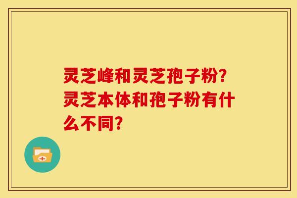 灵芝峰和灵芝孢子粉?灵芝本体和孢子粉有什么不同? 灵芝峰和灵芝孢子粉?灵芝本体和孢子粉有什么不同?