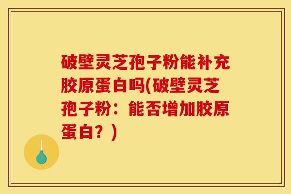 破壁灵芝孢子粉能补充胶原蛋白吗(破壁灵芝孢子粉:能否增加胶原蛋白?) 破壁灵芝孢子粉能补充胶原蛋白吗(破壁灵芝孢子粉:能否增加胶原蛋白?)