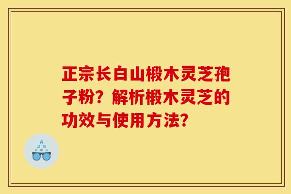 正宗长白山椴木灵芝孢子粉？解析椴木灵芝的功效与使用方法？