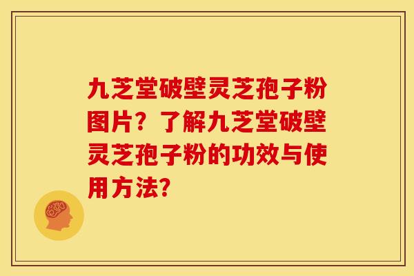 九芝堂破壁灵芝孢子粉图片?了解九芝堂破壁灵芝孢子粉的功效与使用方法? 九芝堂破壁灵芝孢子粉图片?了解九芝堂破壁灵芝孢子粉的功效与使用方法?