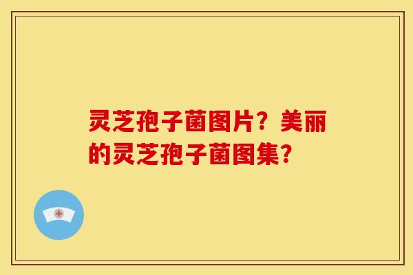 灵芝孢子菌图片?美丽的灵芝孢子菌图集? 灵芝孢子菌图片?美丽的灵芝孢子菌图集?