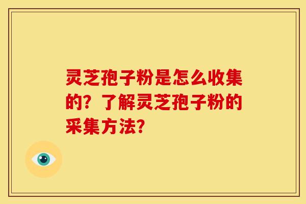 灵芝孢子粉是怎么收集的?了解灵芝孢子粉的采集方法? 灵芝孢子粉是怎么收集的?了解灵芝孢子粉的采集方法?