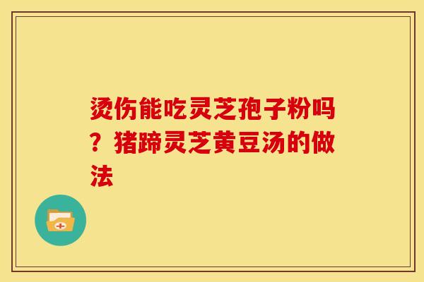 烫伤能吃灵芝孢子粉吗?猪蹄灵芝黄豆汤的做法 烫伤能吃灵芝孢子粉吗?猪蹄灵芝黄豆汤的做法