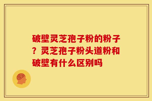 破壁灵芝孢子粉的粉子?灵芝孢子粉头道粉和破壁有什么区别吗 破壁灵芝孢子粉的粉子?灵芝孢子粉头道粉和破壁有什么区别吗
